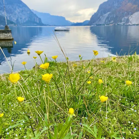 アパート Grand View 2