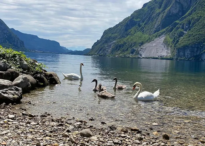 Apartament Grand View 2 *