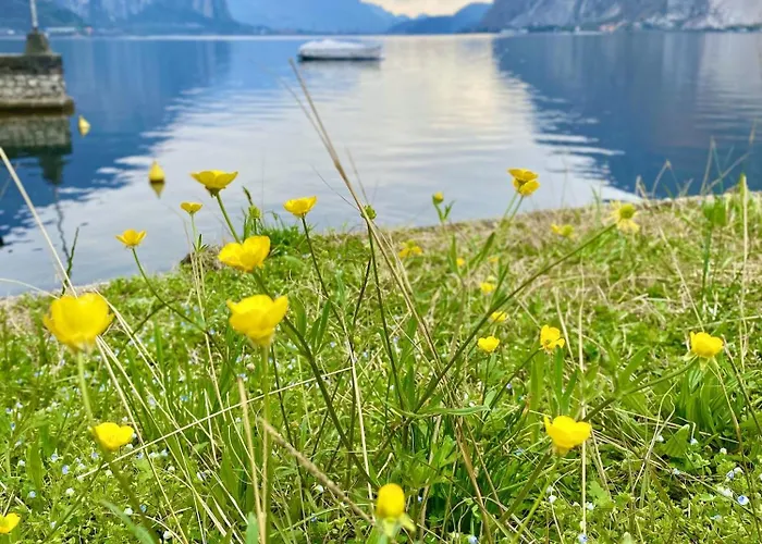 Lejlighed Grand View 2